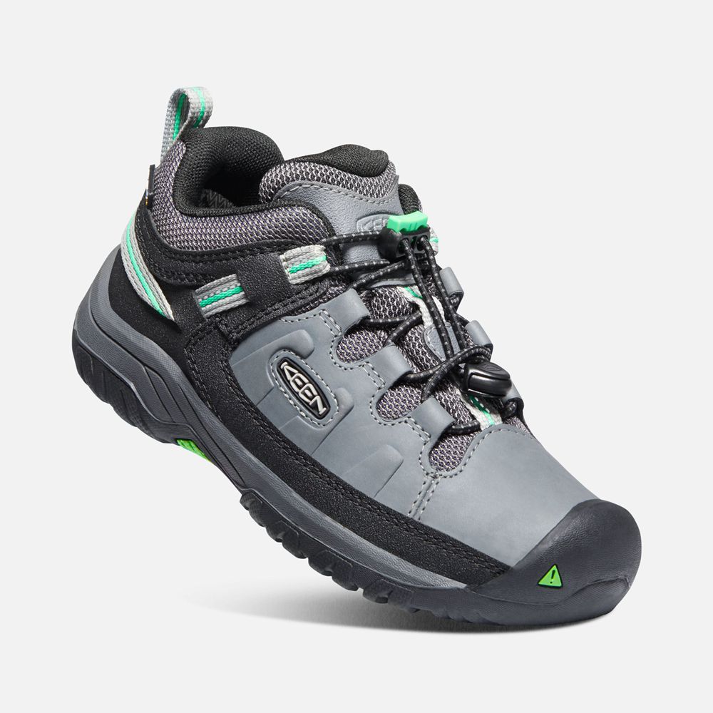 Keen Wandelschoenen Kinderen Grijs/Groen - Targhee Waterproof - 23598-EDTI